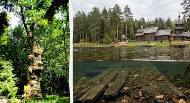 На Поліссі є таємниче озеро, дно якого, за легендою, встелили дубом для панночки На-Поліссі-є-таємниче-озеро,-дно-якого,-за-легендою,-встелили-дубом-для-панночки