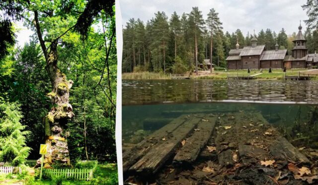 На Поліссі є таємниче озеро, дно якого, за легендою, встелили дубом для панночки На-Поліссі-є-таємниче-озеро,-дно-якого,-за-легендою,-встелили-дубом-для-панночки