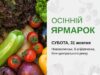 Осінній ярмарок у Нововолинську: що очікувати У-Нововолинську-відбудеться-осінній-ярмарок