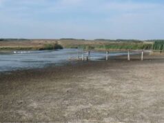 Стихійне гідрологічне явище: низькі рівні води в річках Волині, Рівненщини та Житомирщини На-річках-Волині-зберігатиметься-низький-рівень-води:-оголошено-ІІІ-рівень-небезпеки