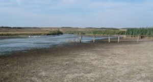 Стихійне гідрологічне явище: низькі рівні води в річках Волині, Рівненщини та Житомирщини На-річках-Волині-зберігатиметься-низький-рівень-води:-оголошено-ІІІ-рівень-небезпеки