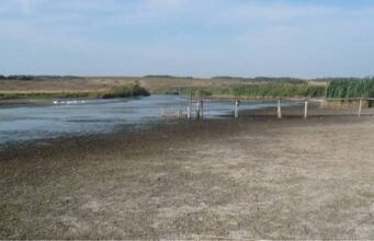 Стихійне гідрологічне явище: низькі рівні води в річках Волині, Рівненщини та Житомирщини На-річках-Волині-зберігатиметься-низький-рівень-води:-оголошено-ІІІ-рівень-небезпеки